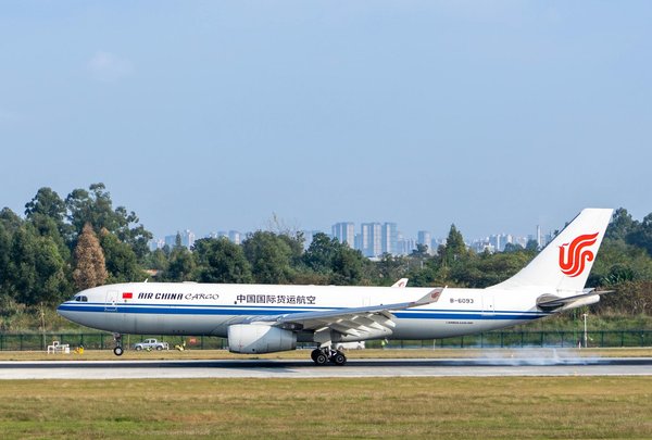 Loisirs Inoubliables : Découvrez les Activités à ne Pas Manquer dans les Aires de Jeux de Campings